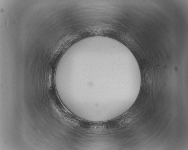 X0000053070694200508011940