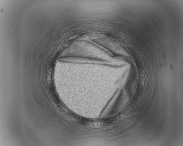 X0000053070695200508011940