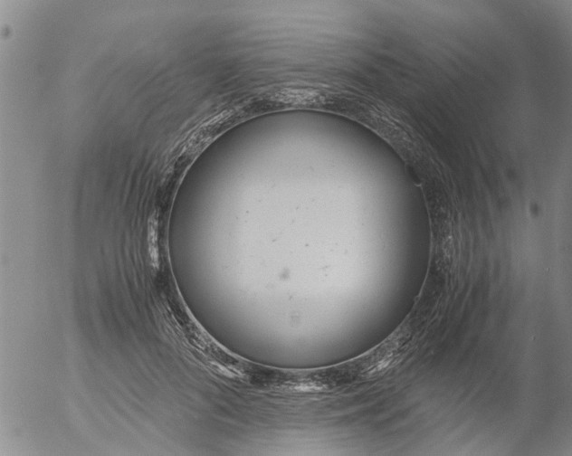 X0000053070696200508011940