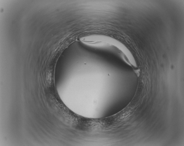 X0000053070697200508011940