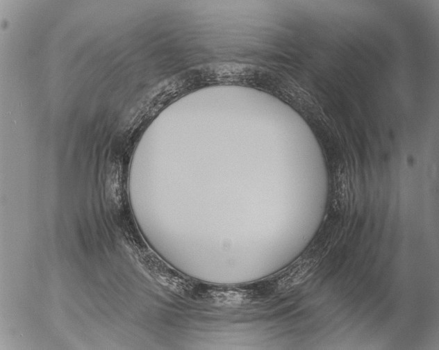 X0000053070698200508011940