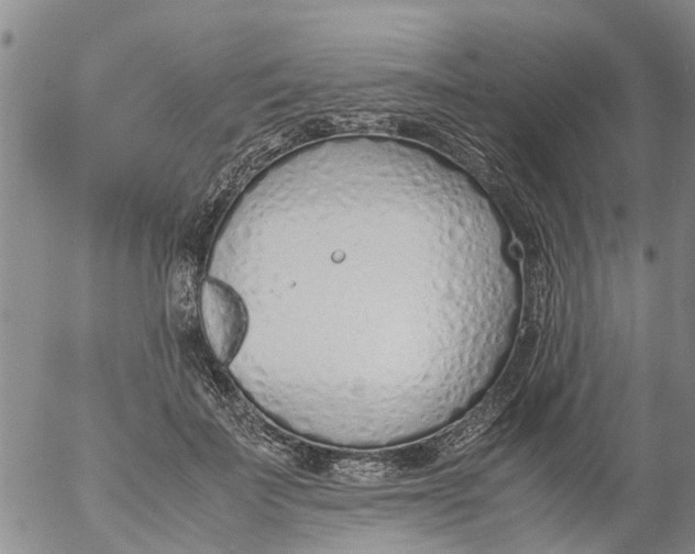 X0000053070699200508011940