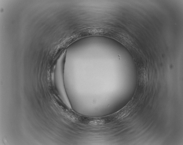 X0000053070700200508011940