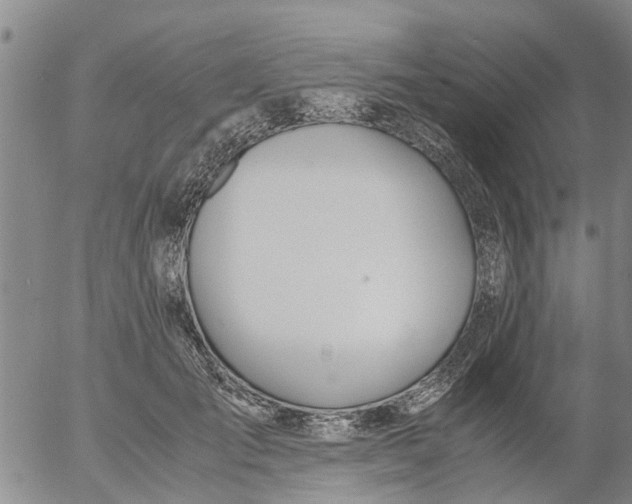 X0000053070701200508011940