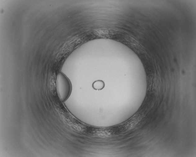 X0000053070702200508011940