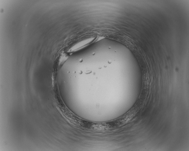 X0000053070703200508011940