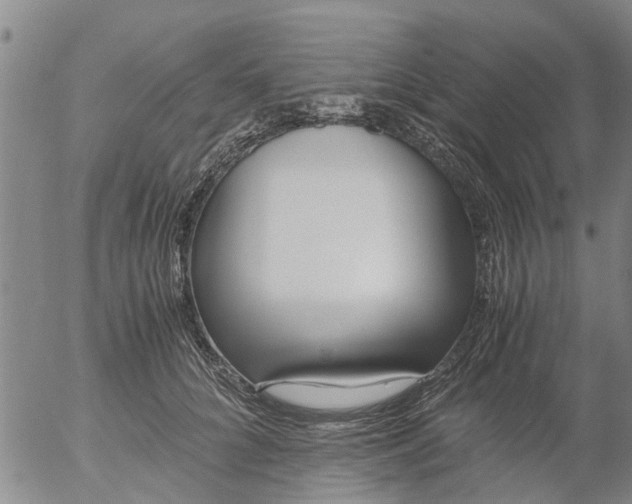 X0000053070704200508011940