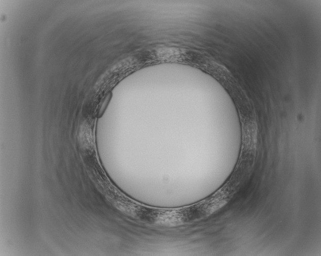 X0000053070705200508011940