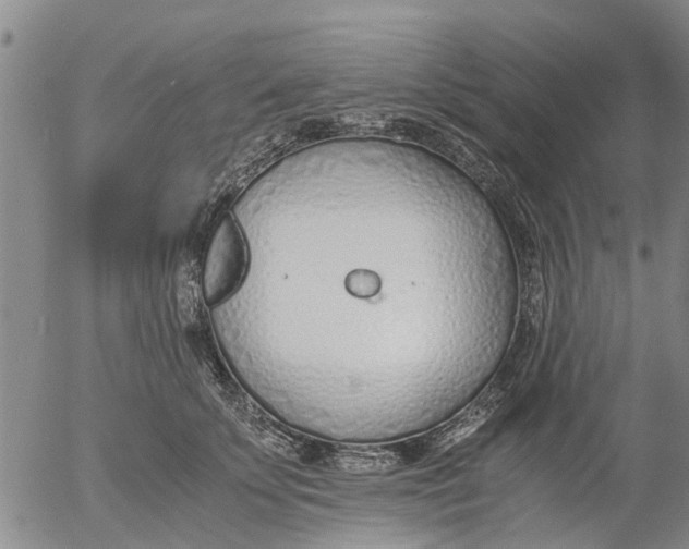 X0000053070707200508011940