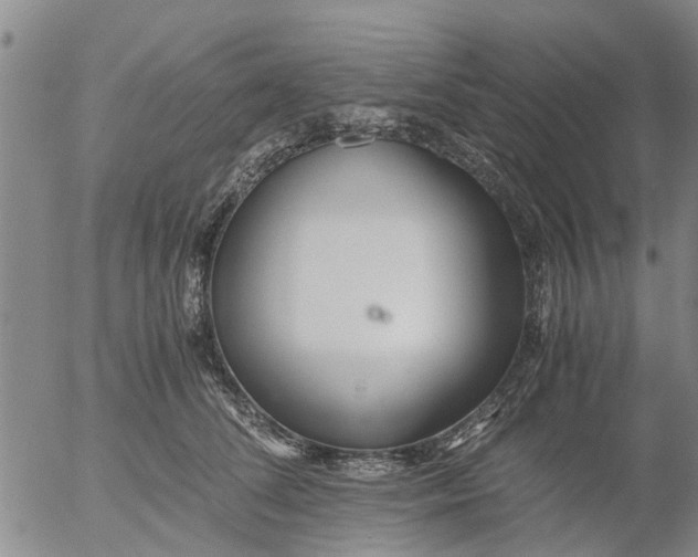 X0000053070708200508011940