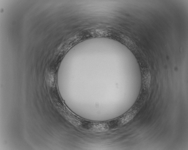 X0000053070709200508011940