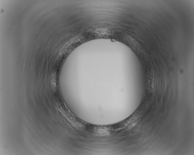 X0000053070710200508011940