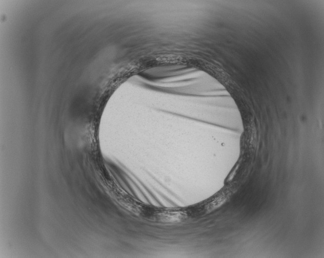 X0000053070711200508011940