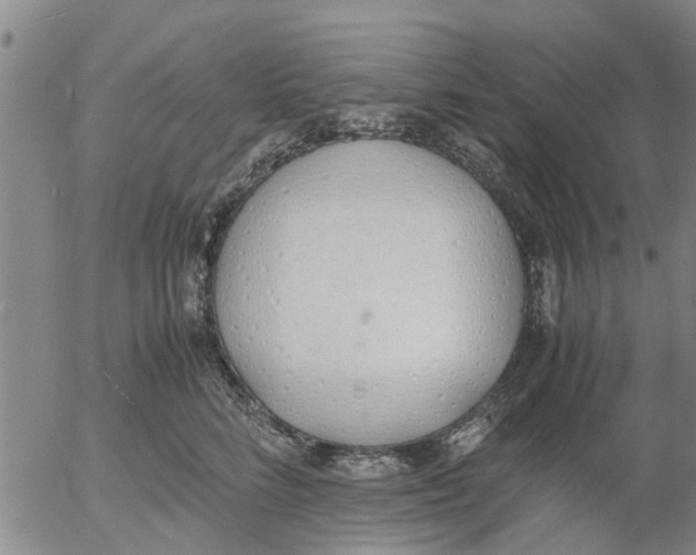 X0000053070712200508011940