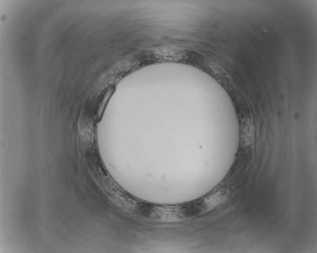 X0000053070713200508011940