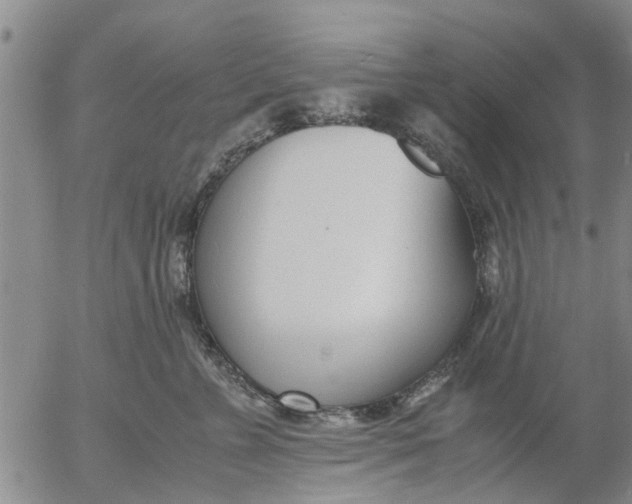 X0000053070715200508011940