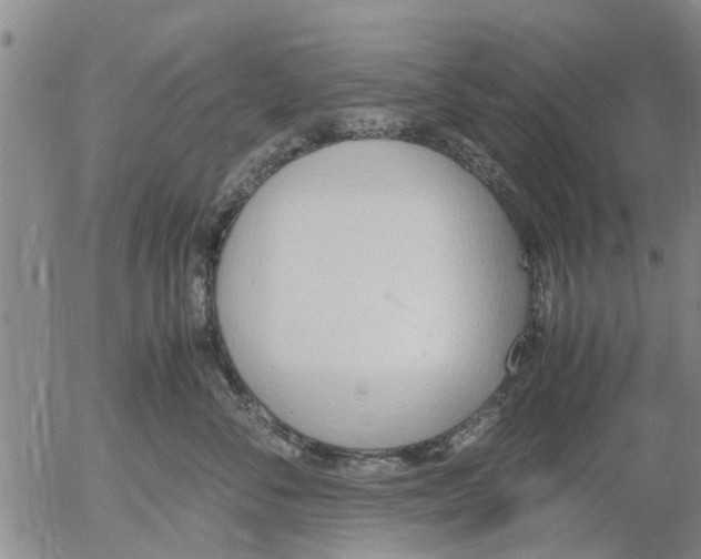 X0000053070716200508011940