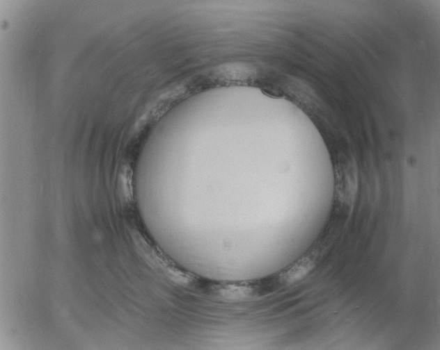 X0000053070718200508011940