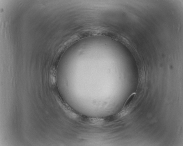 X0000053070719200508011940