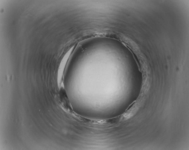 X0000053070720200508011940