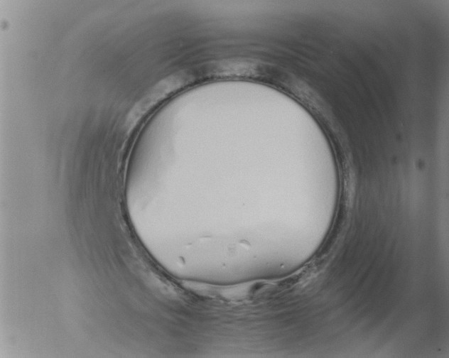 X0000053070721200508011939