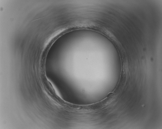 X0000053070722200508011939