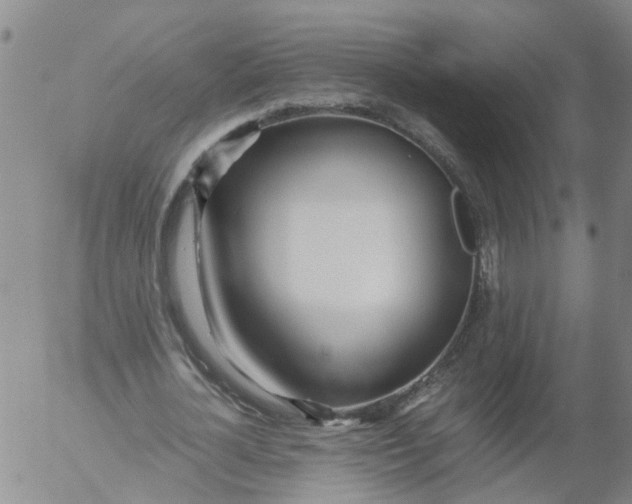 X0000053070724200508011939