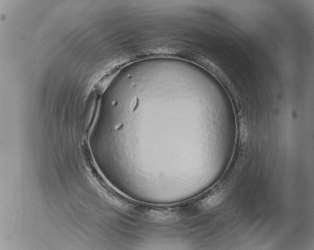 X0000053070725200508011939