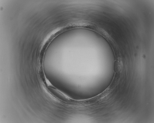 X0000053070726200508011939