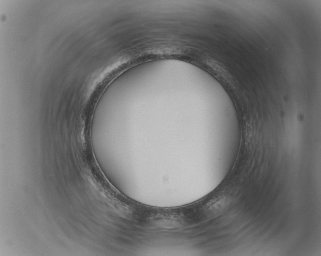 X0000053070727200508011939