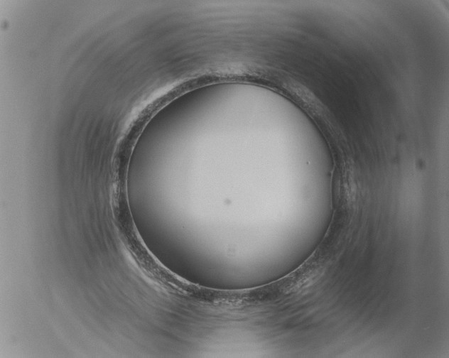 X0000053070728200508011939