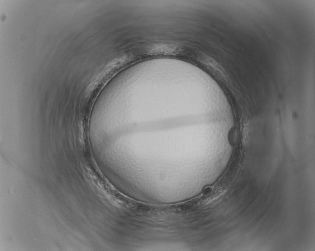 X0000053070729200508011939