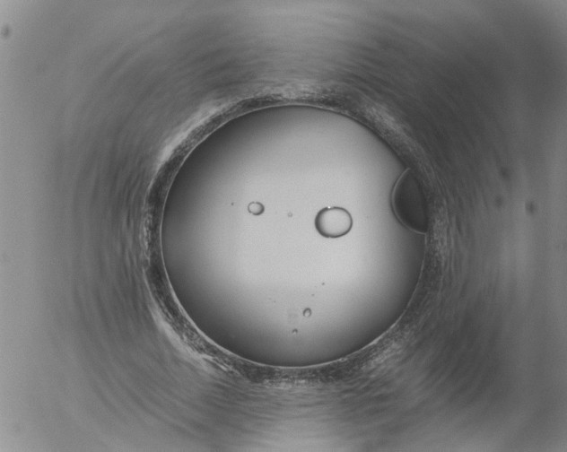 X0000053070730200508011939