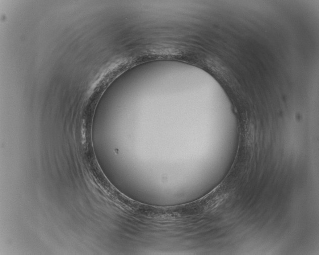 X0000053070731200508011939