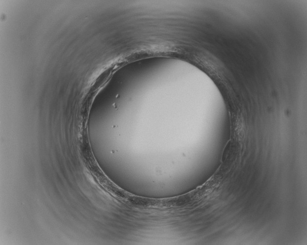 X0000053070732200508011939