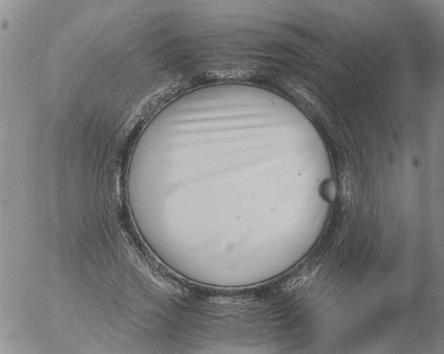 X0000053070733200508011939