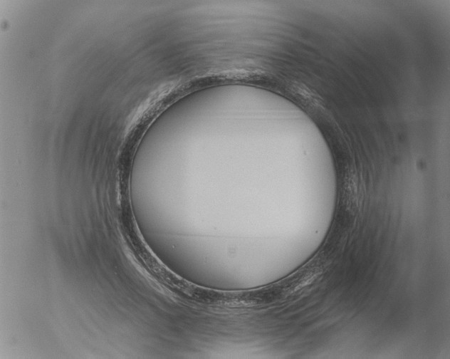 X0000053070734200508011939