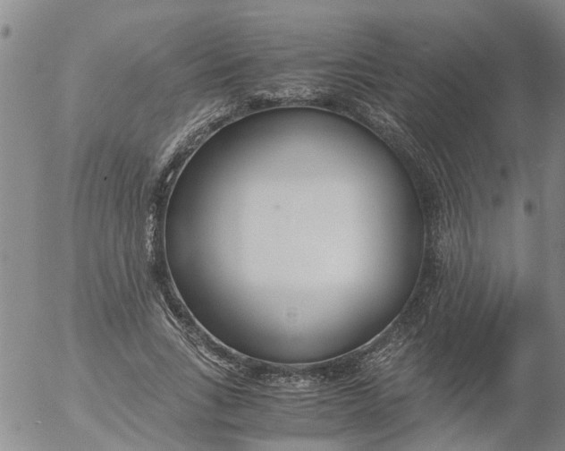 X0000053070735200508011939