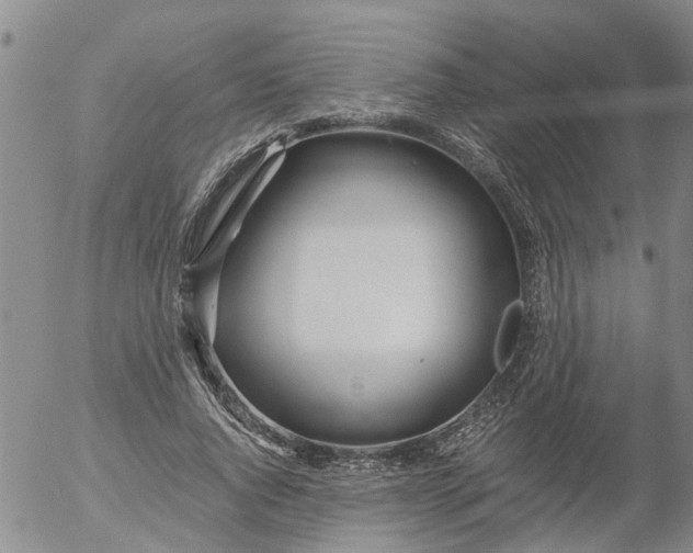 X0000053070736200508011939