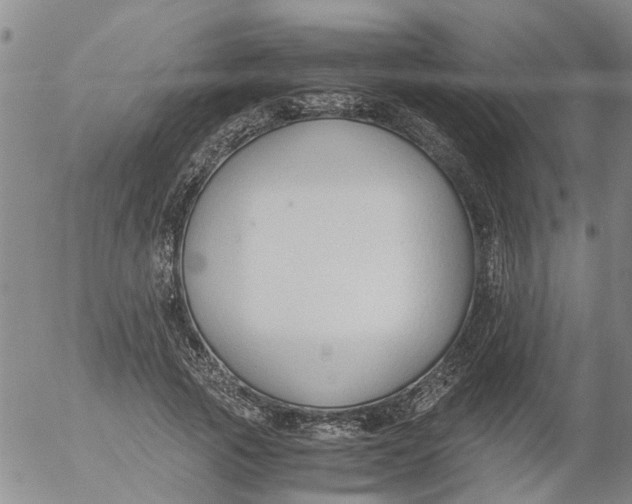 X0000053070737200508011939