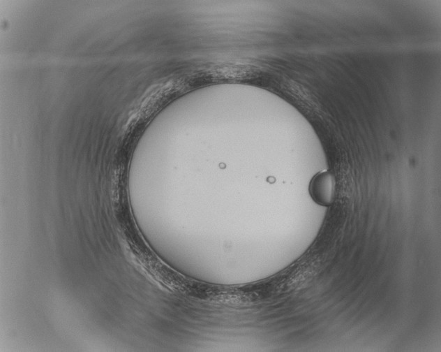 X0000053070738200508011939