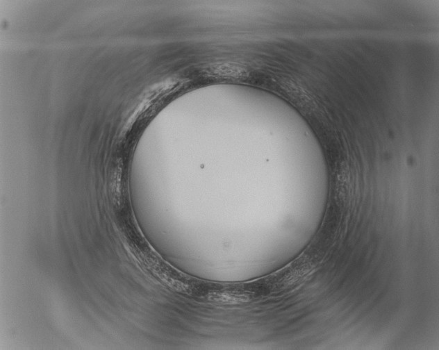 X0000053070739200508011939