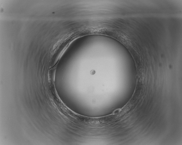 X0000053070740200508011939