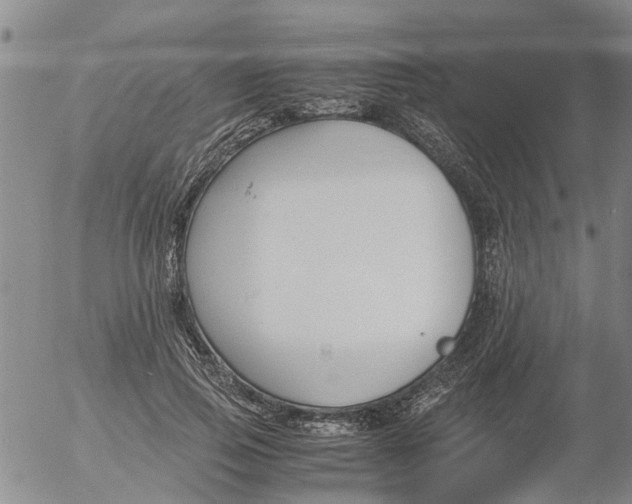 X0000053070741200508011939