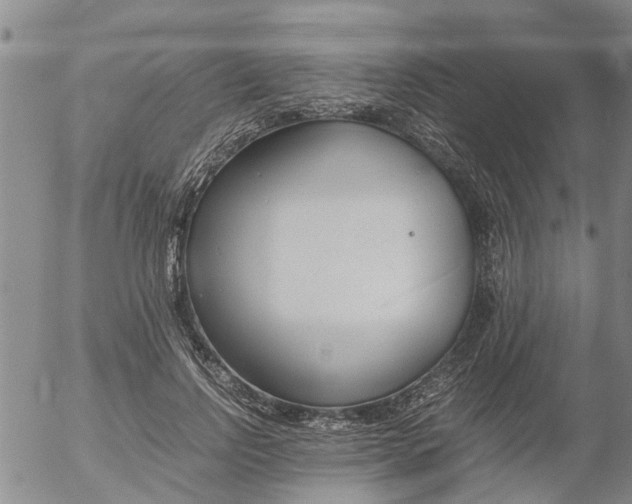 X0000053070742200508011939