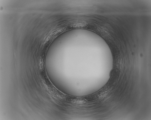 X0000053070743200508011939