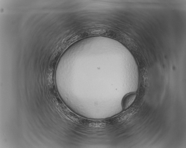 X0000053070745200508011939