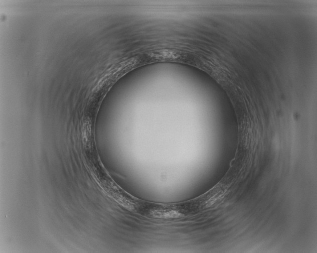 X0000053070747200508011940