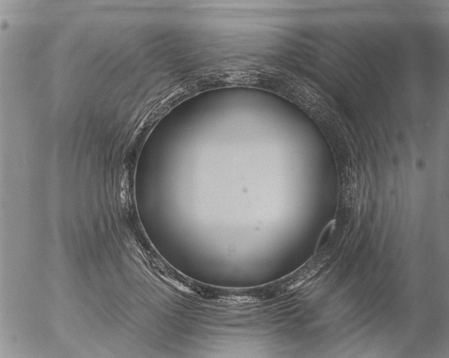 X0000053070748200508011940