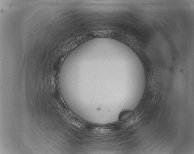 X0000053070749200508011940